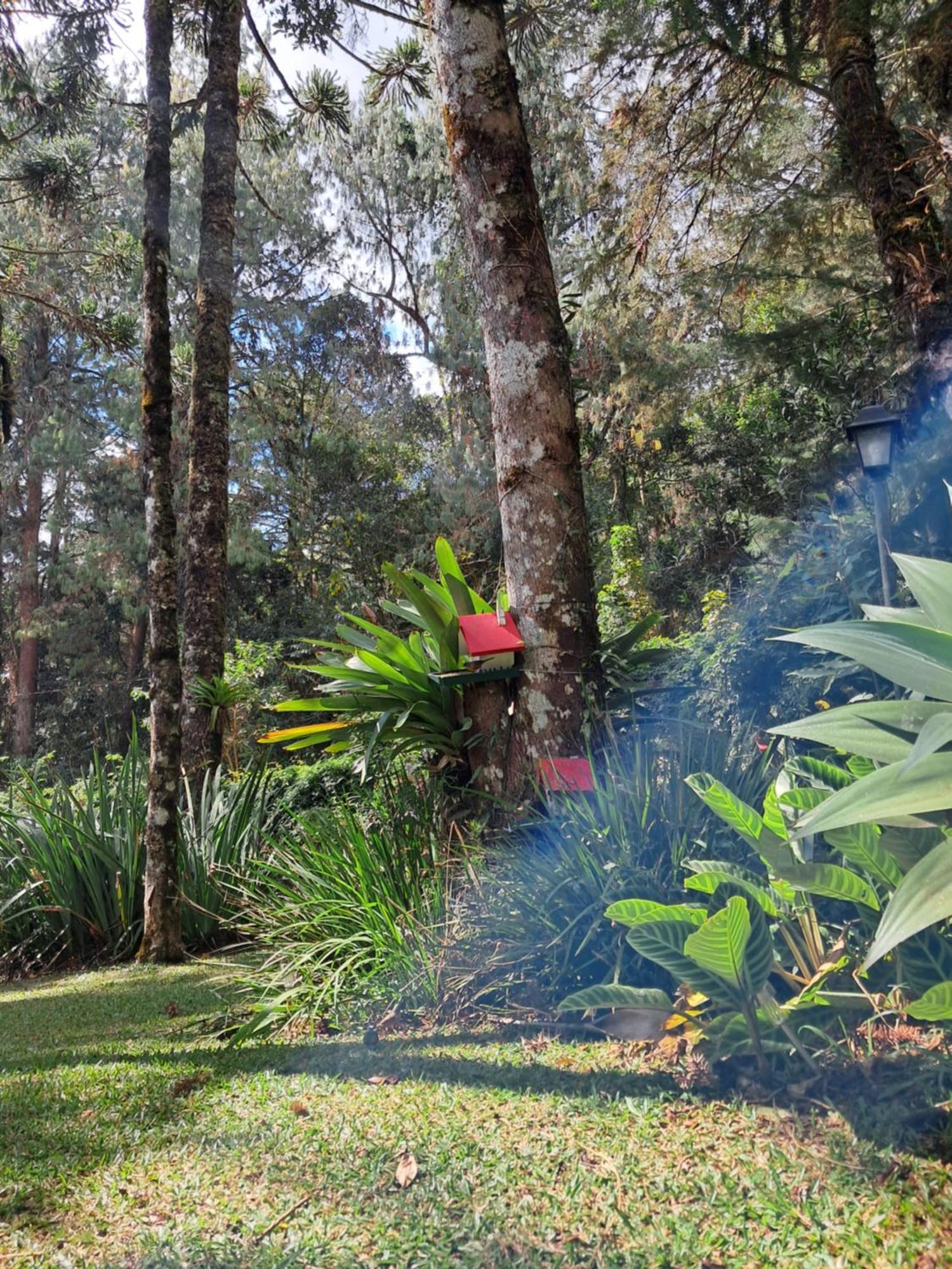 Casa Em Monte Charme E Conforto 度假居 *